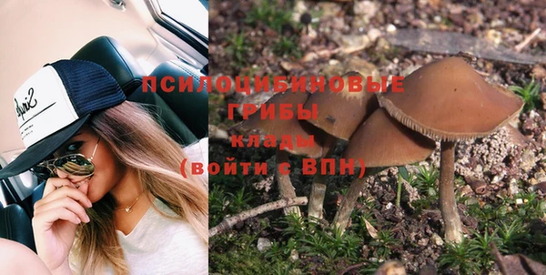 ГАЛЛЮЦИНОГЕННЫЕ ГРИБЫ Новозыбков